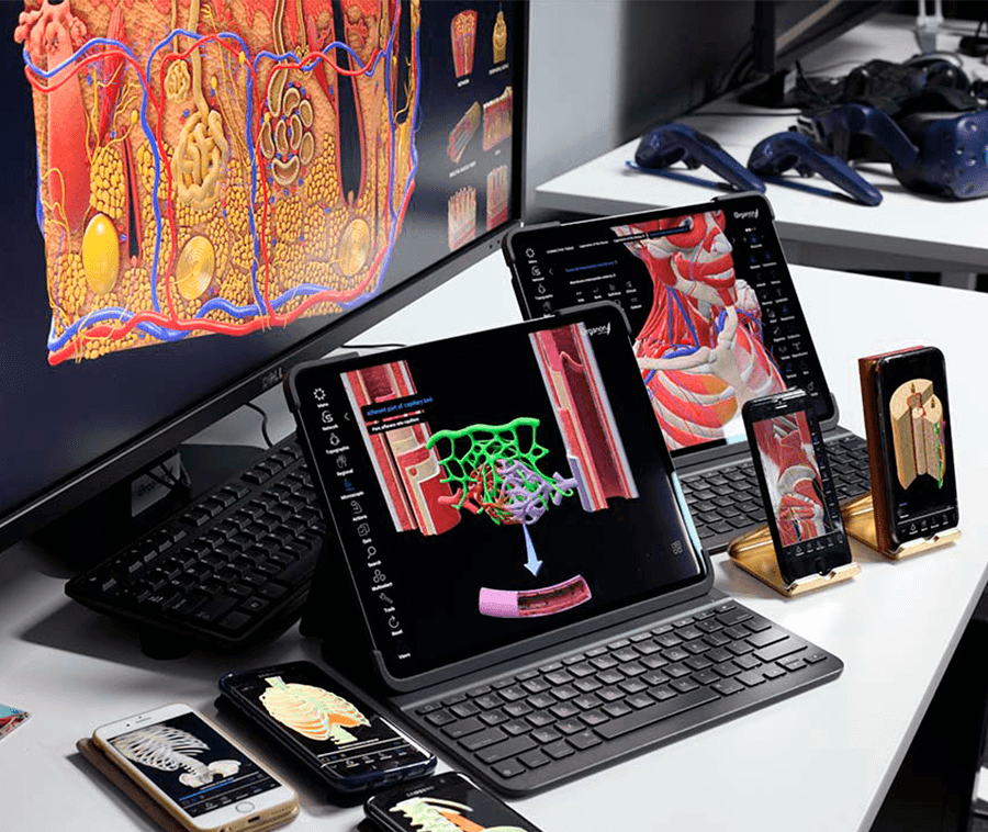 3D Organon Licencia 3D ANATOMY - PREMIUM 12 MESES - XRShop