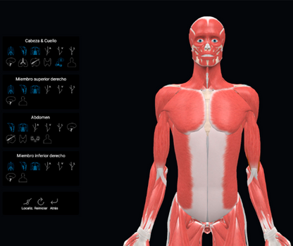 3D Organon Licencia VR Anatomy para Gafas VR Standalone